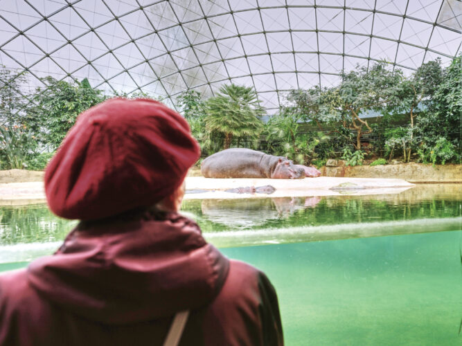 Berlin Zoo makes memories for people with dementia